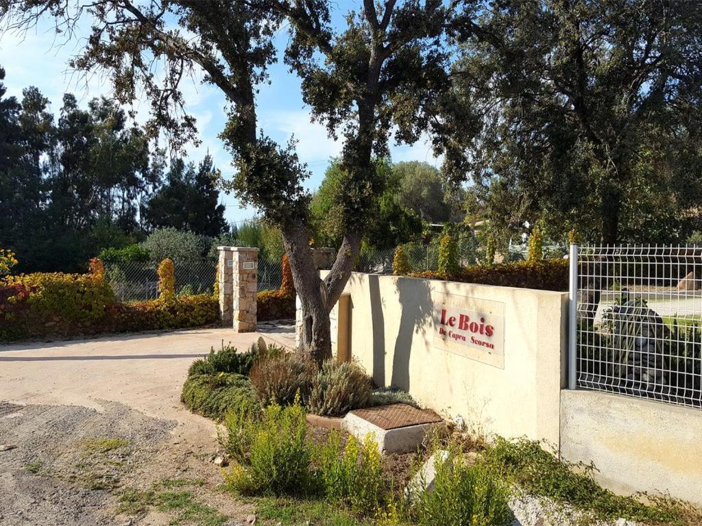 Le Bois De Capra Scorsa Villa Belgodere  Exterior photo